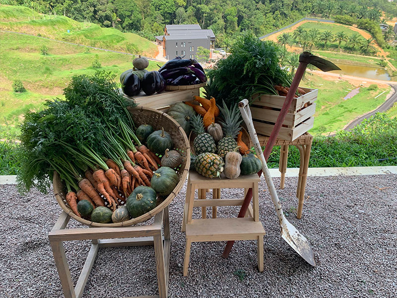 talula-hills-farm-shop-1